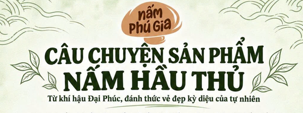 Nấm Hầu Thủ Phú Gia - vẻ đẹp kỳ diệu của tự nhiên, được nuôi dưỡng bằng khoa học.