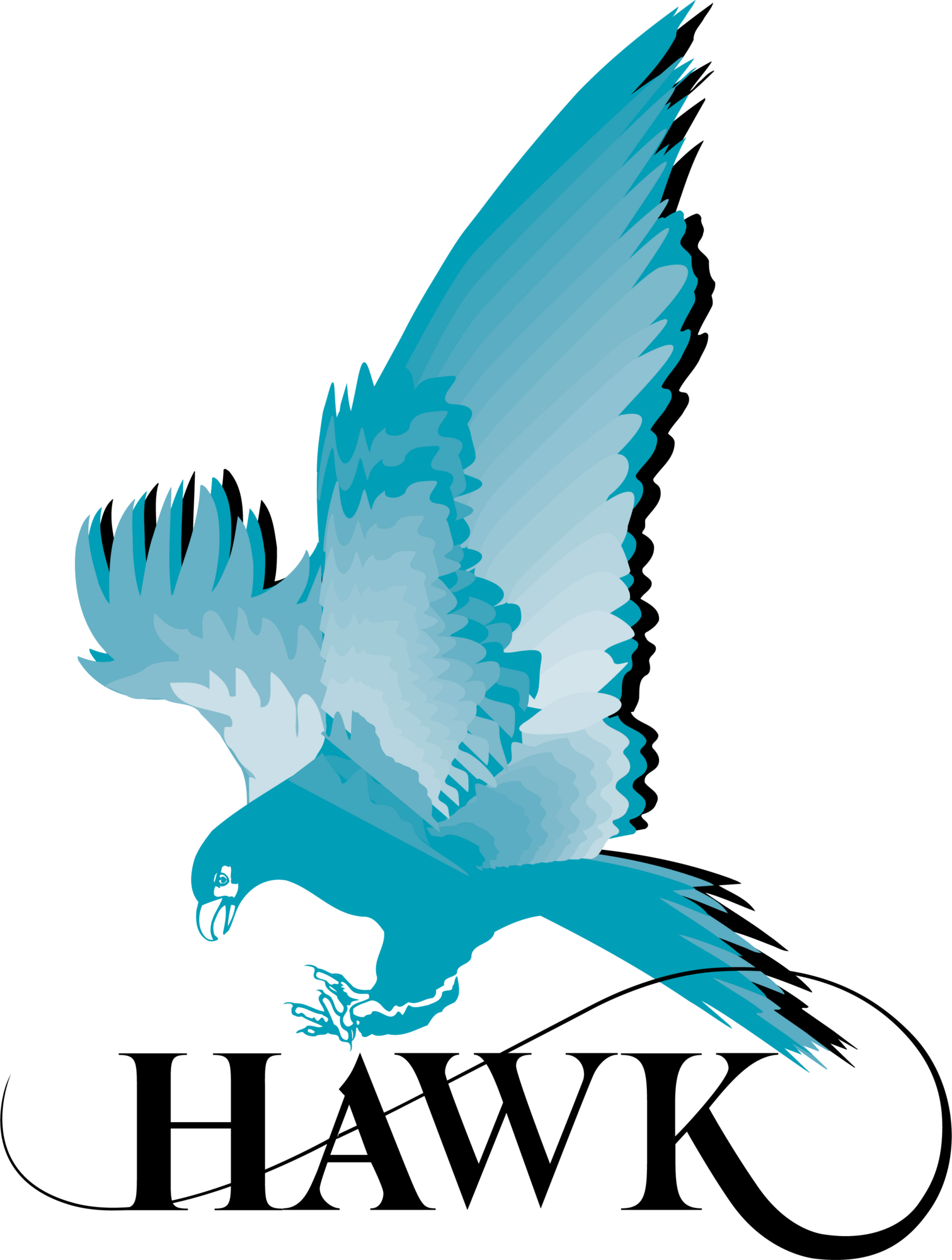HAWK Measurement Logo