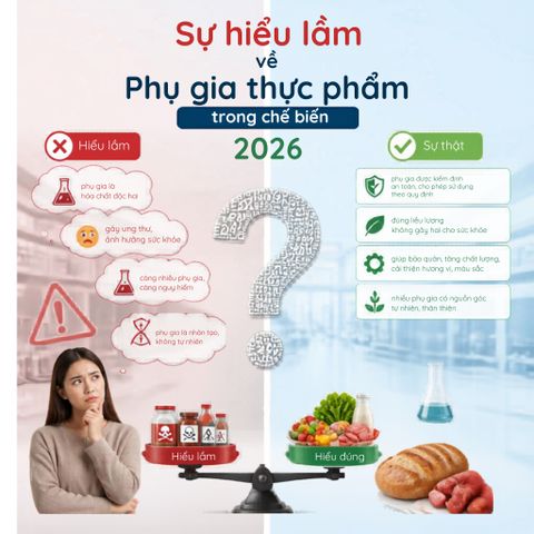 Sự hiểu lầm về phụ gia thực phẩm trong chế biến 2026