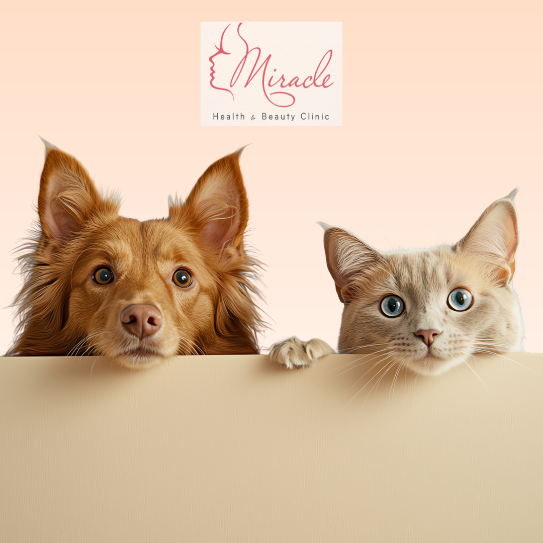 NGUY CƠ BỆNH TỪ VE VÀ BỌ CHÉT