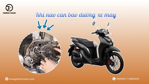 Khi nào cần đi bảo dưỡng xe máy? Bảo dưỡng xe ở đâu uy tín?
