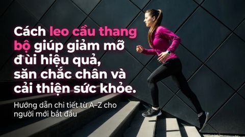 Leo Cầu Thang Đúng Cách: Bí Quyết Giảm Mỡ Đùi Nhanh Chóng Ai Cũng Bỏ Qua