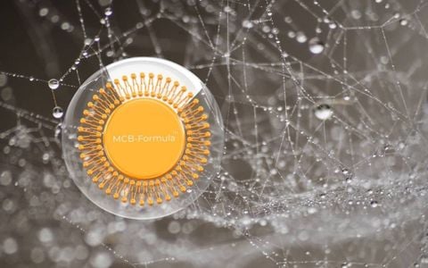 So sánh Dr.Graft và các dòng dầu gội kích thích mọc tóc khác