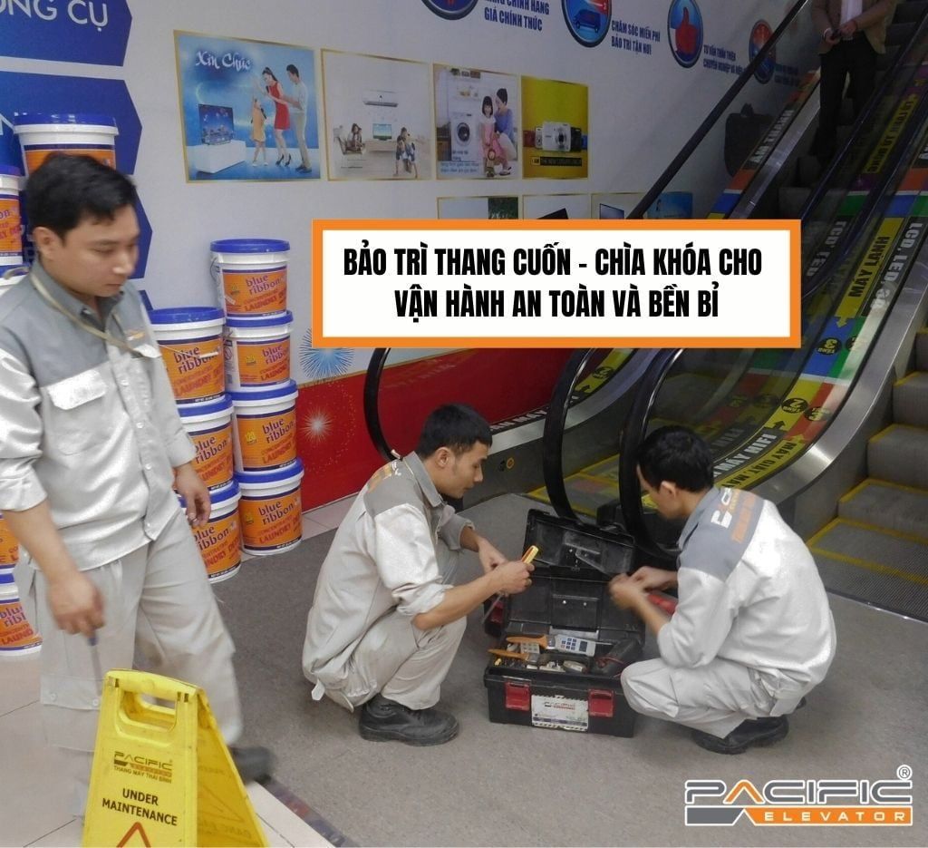 Bảo trì thang cuốn – Chìa khóa cho vận hành an toàn và bền bỉ