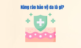 Hàng rào bảo vệ da là gì?