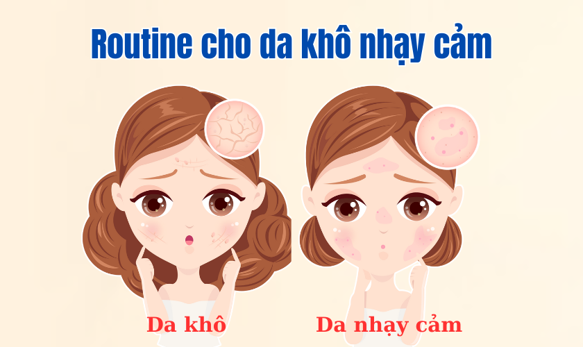 Routine cho da khô nhạy cảm