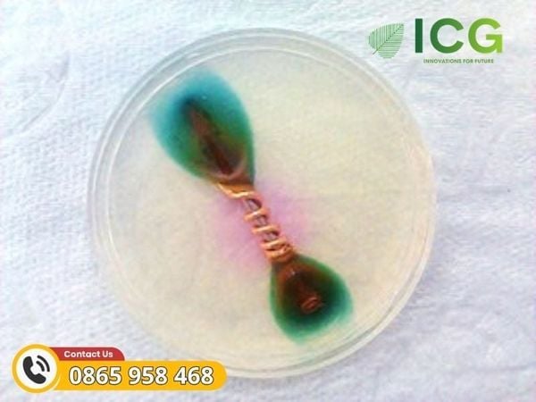 Lựa chọn vật liệu tương thích
