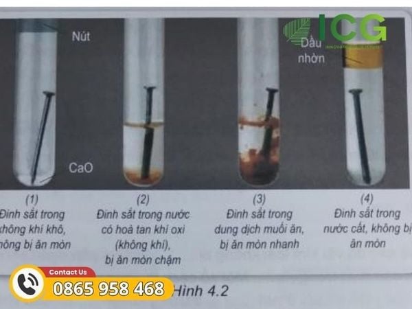Phân biệt ăn mòn điện hóa