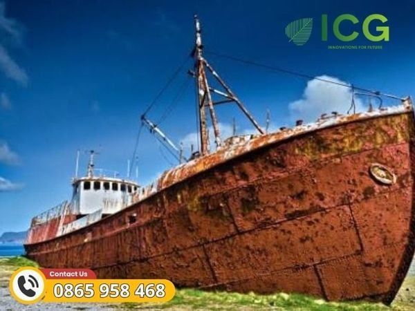 Bảo tồn hiện vật