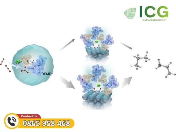 Điện phân CO2 là gì