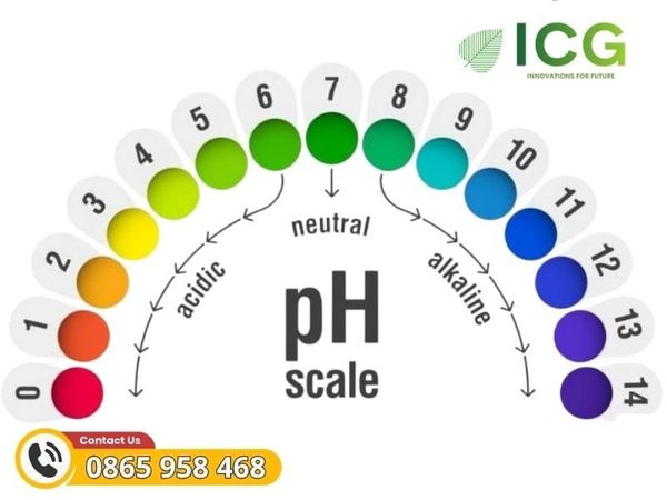 Vai trò của PH đối với PIN điện hóa