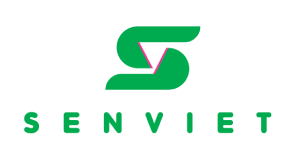 Sen Việt Qua Các Năm