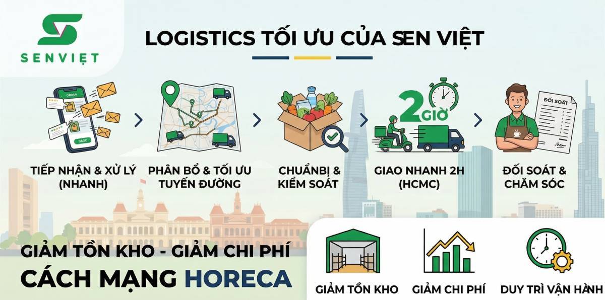 Quy trình Logistics của Sen Việt giúp tối ưu chi phí đối tác ra sao?