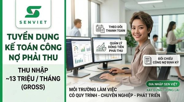 TUYỂN DỤNG KẾ TOÁN CÔNG NỢ PHẢI THU TẠI SEN VIỆT (GÒ VẤP – QUẬN 12, TP.HCM) | THU NHẬP 13TRIỆU