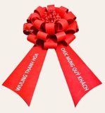 🎀 NƠ NỈ GIAO XE Ô TÔ – MÓN QUÀ TINH TẾ Ở CÁC SHOWROOM ĐÃ CÓ MẶT TẠI HÀ NỘI 🎀