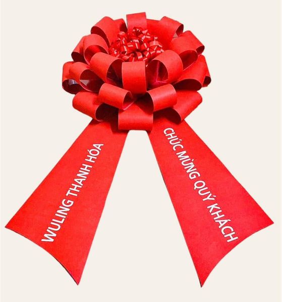 🎀 NƠ NỈ GIAO XE Ô TÔ – MÓN QUÀ TINH TẾ Ở CÁC SHOWROOM ĐÃ CÓ MẶT TẠI HÀ NỘI 🎀