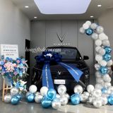 Khám Phá Top 10 Mẫu Nơ Xe Hơi Được Khách Hàng Lựa Chọn Nhiều Nhất tại Hoa Gift&Decor