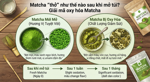 Matcha “thở” như thế nào sau khi mở túi? Giải mã oxy hóa Matcha