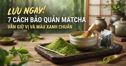LƯU NGAY! 7 CÁCH BẢO QUẢN MATCHA VẪN GIỮ VỊ VÀ MÀU XANH CHUẨN