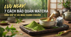 LƯU NGAY! 7 CÁCH BẢO QUẢN MATCHA VẪN GIỮ VỊ VÀ MÀU XANH CHUẨN