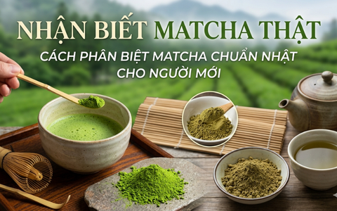 Nhận biết matcha thật: Cách phân biệt matcha chuẩn Nhật cho người mới