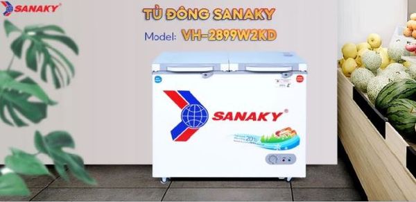 Tủ đông Sanaky VH-2899W2KD 280 lít