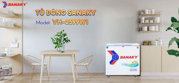 Tủ đông Sanaky 200 lít VH-2599W1 nhỏ gọn
