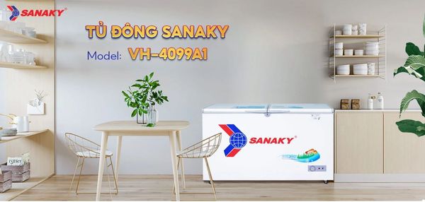 Tủ đông Sanaky VH-4099A1 400 lít
