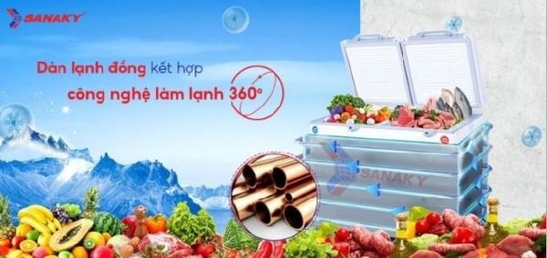 Tủ đông Sanaky VH-2899W2KD 280 lít