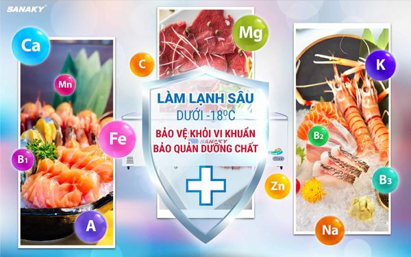 Tủ Đông Sanaky VH-1199HY 1100 lít