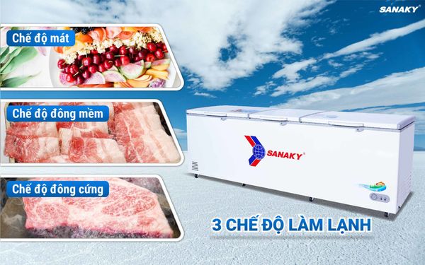 Tủ Đông Sanaky VH-1199HY 1100 lít