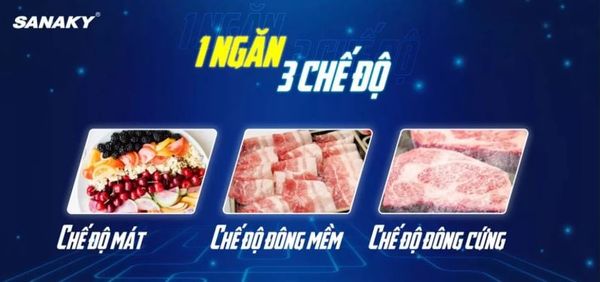 Tủ Đông Sanaky VH-1199HYK 1100 lít