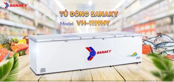 Tủ Đông Sanaky VH-1199HY 1100 lít