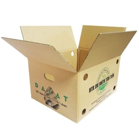 Khám phá 8 xưởng hộp carton đóng hàng giá xưởng, đa ngành Cà Mau