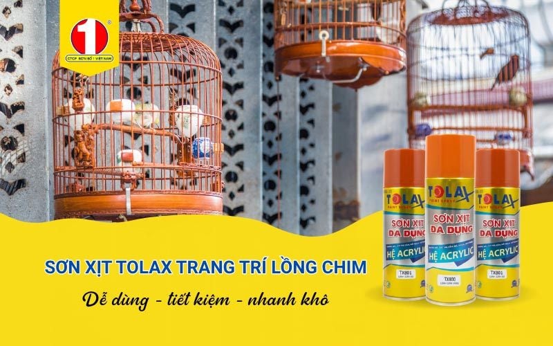 Sơn Lồng Chim Bằng Sơn Xịt Tolax: Ưu Điểm & Hướng Dẫn Sử Dụng