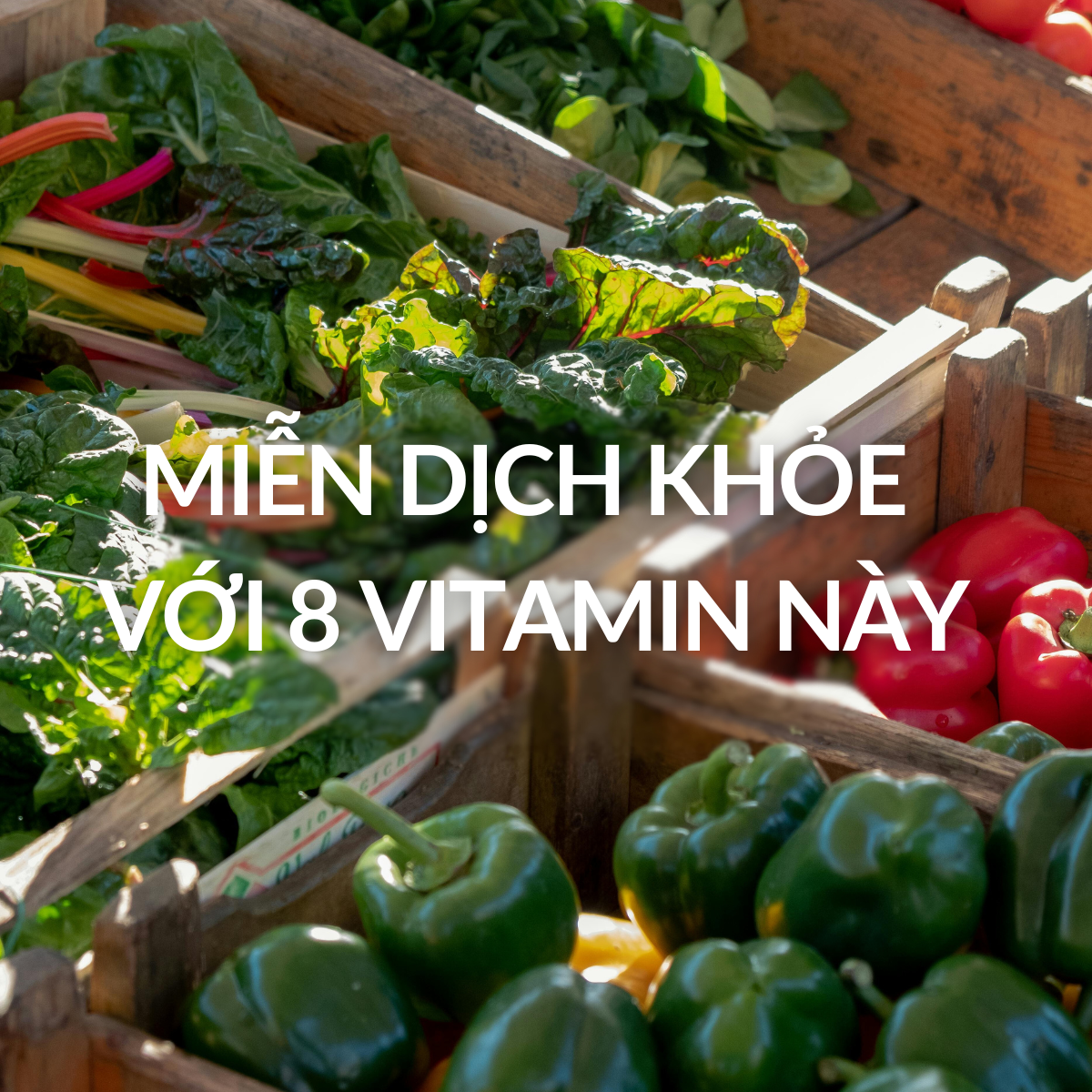 8 Vitamin Giúp Tăng Cường Hệ Miễn Dịch Tối Ưu