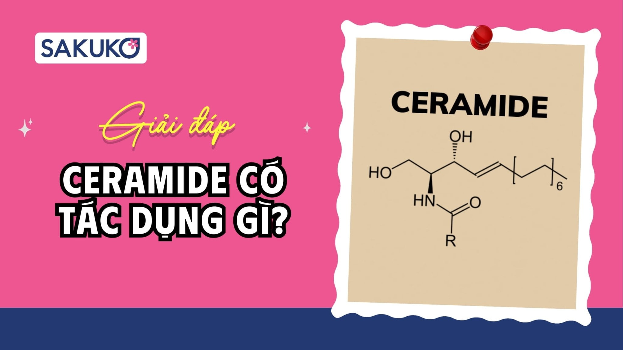 Ceramide có tác dụng gì cho da? 4 lợi ích đáng chú ý