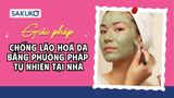 12 giải pháp chống lão hoá da bằng phương pháp tự nhiên tại nhà hiệu quả