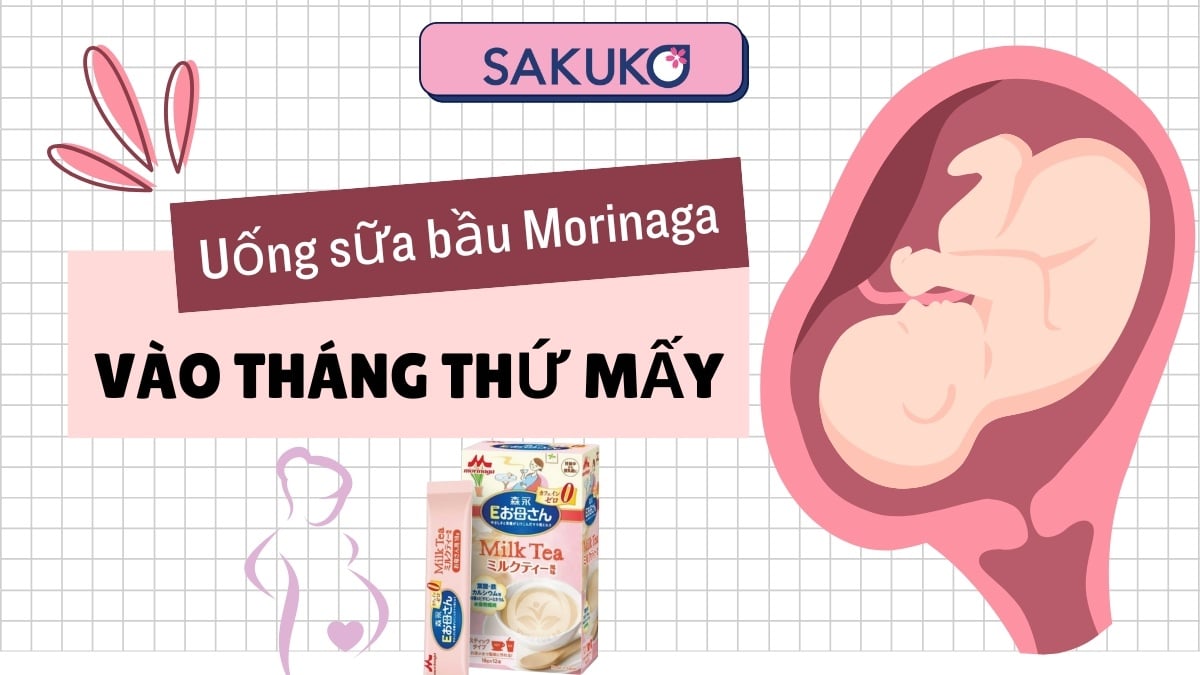 Uống sữa bầu Morinaga vào tháng thứ mấy? Thời điểm vàng phát triển