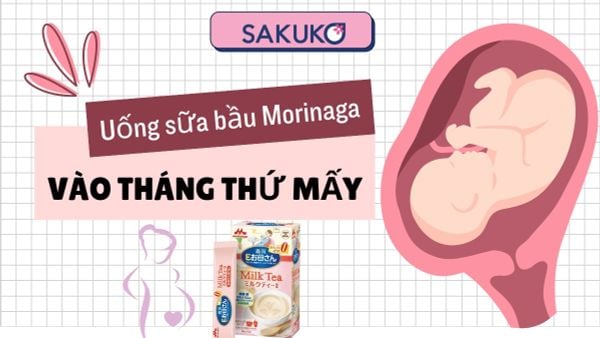 Uống sữa bầu Morinaga vào tháng thứ mấy? Thời điểm vàng phát triển
