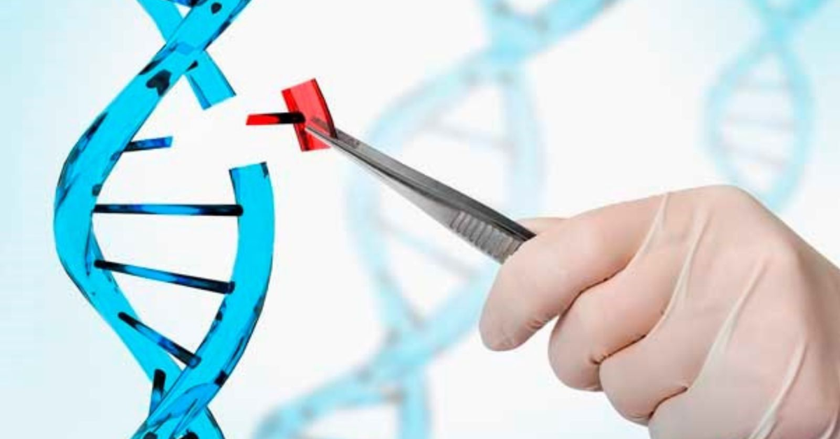 Kích hoạt gen Sirtuins, hỗ trợ kéo dài tuổi thọ tế bào