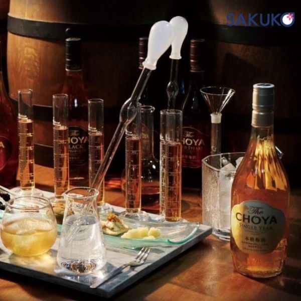The Choya Black 14% là sự kết hợp tinh tế giữa rượu mơ ủ trên 1 năm cùng với rượu Brandy