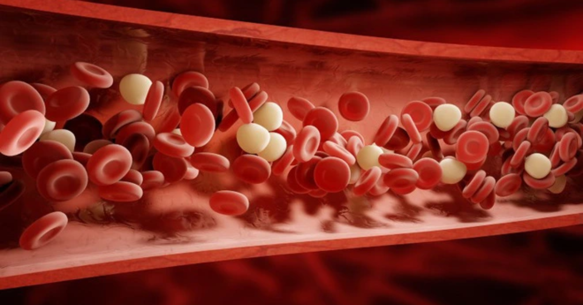 Hỗ trợ làm tan cục máu đông, ngăn ngừa tắc nghẽn mạch máu