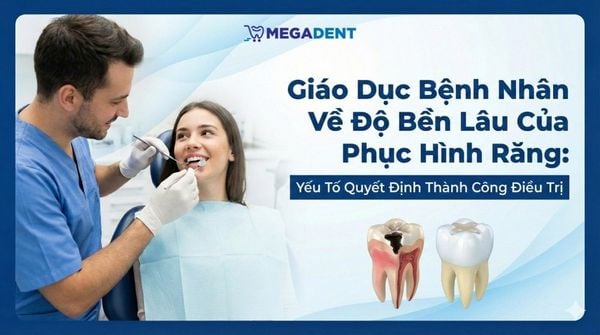 Giáo Dục Bệnh Nhân Về Độ Bền Lâu Của Phục Hình Răng: Yếu Tố Quyết Định Thành Công Điều Trị
