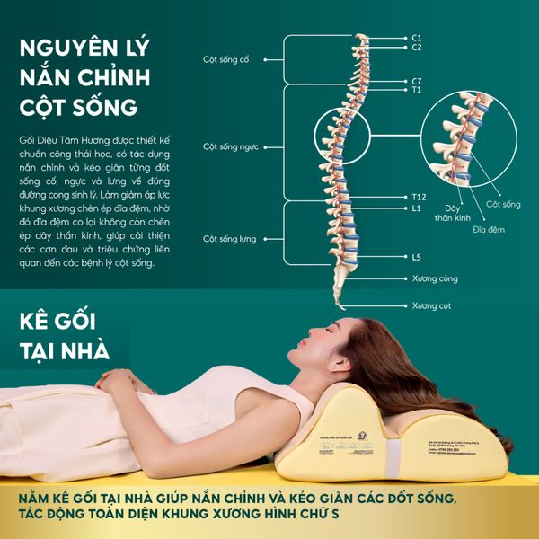 TẠI SAO NÊN CHỌN GỐI CHĂM SÓC CỘT SỐNG DIỆU TÂM HƯƠNG ?