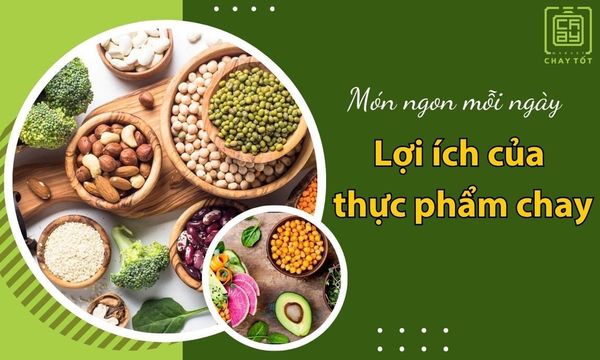 Thực phẩm chay thuần chay là gì? Lợi ích của thực phẩm chay