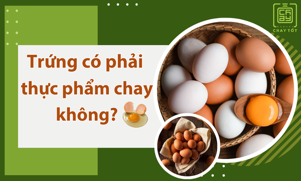 Trứng có phải thực phẩm chay không? Các lưu ý cần biết
