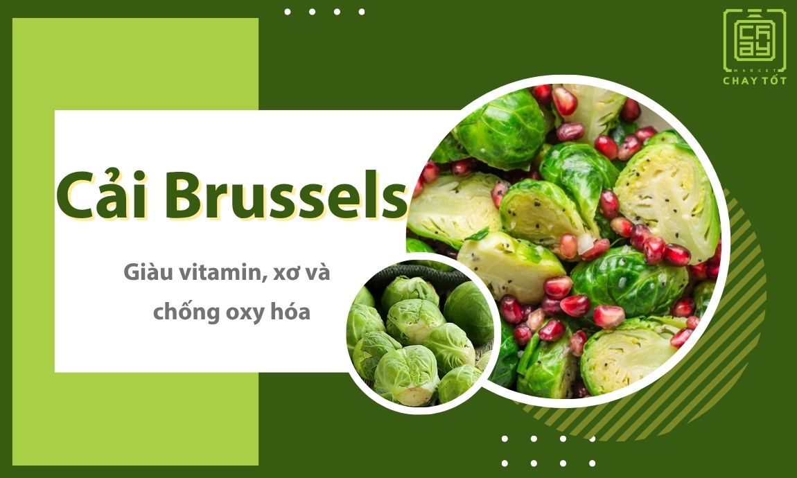 Cải Brussels giàu vitamin và chất chống oxy hóa