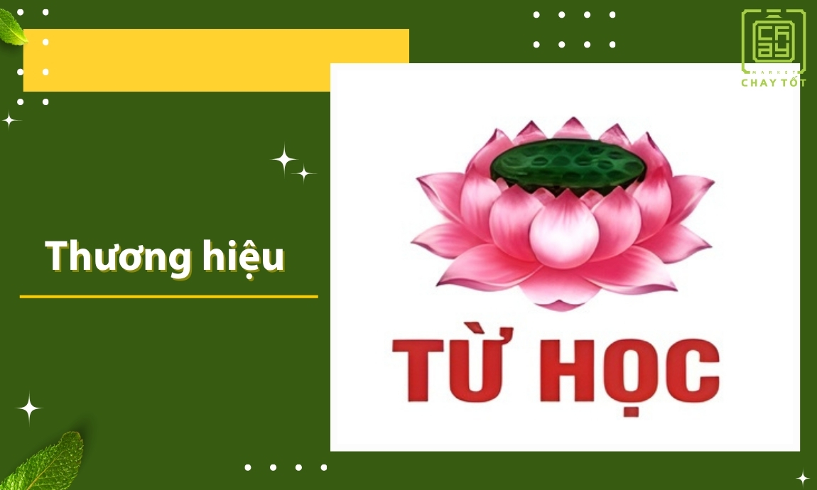 Thông tin khái quát về thương hiệu Từ Học
