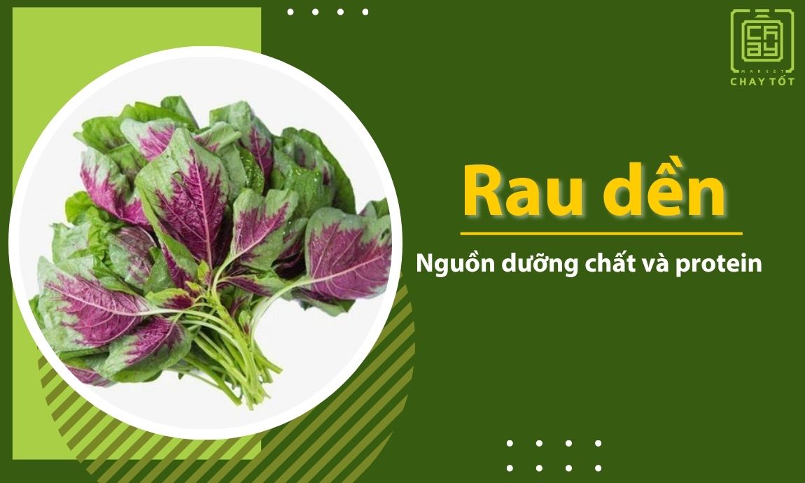 Rau dền thực phẩm chay đủ dinh dưỡng cho mọi bữa ăn